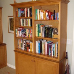Beautiful Shaker style custom bookcase