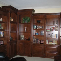 Built in corner bookshelves