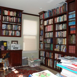 Built in library bookcases