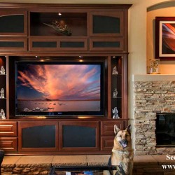 Built in wall units and entertainment centers in Orange County