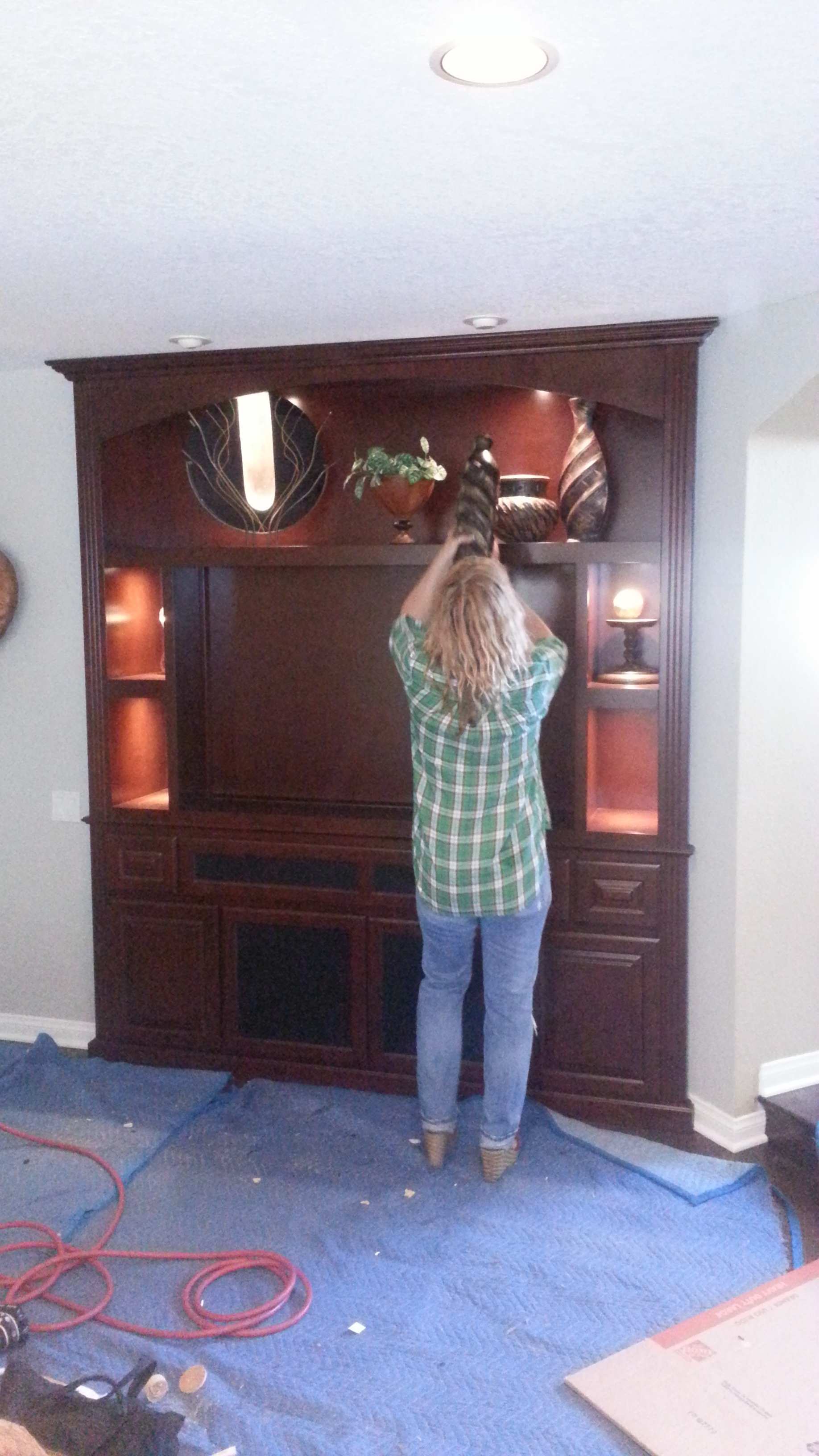 Built In Wall Unit from Demo to Install